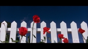 blue velvet