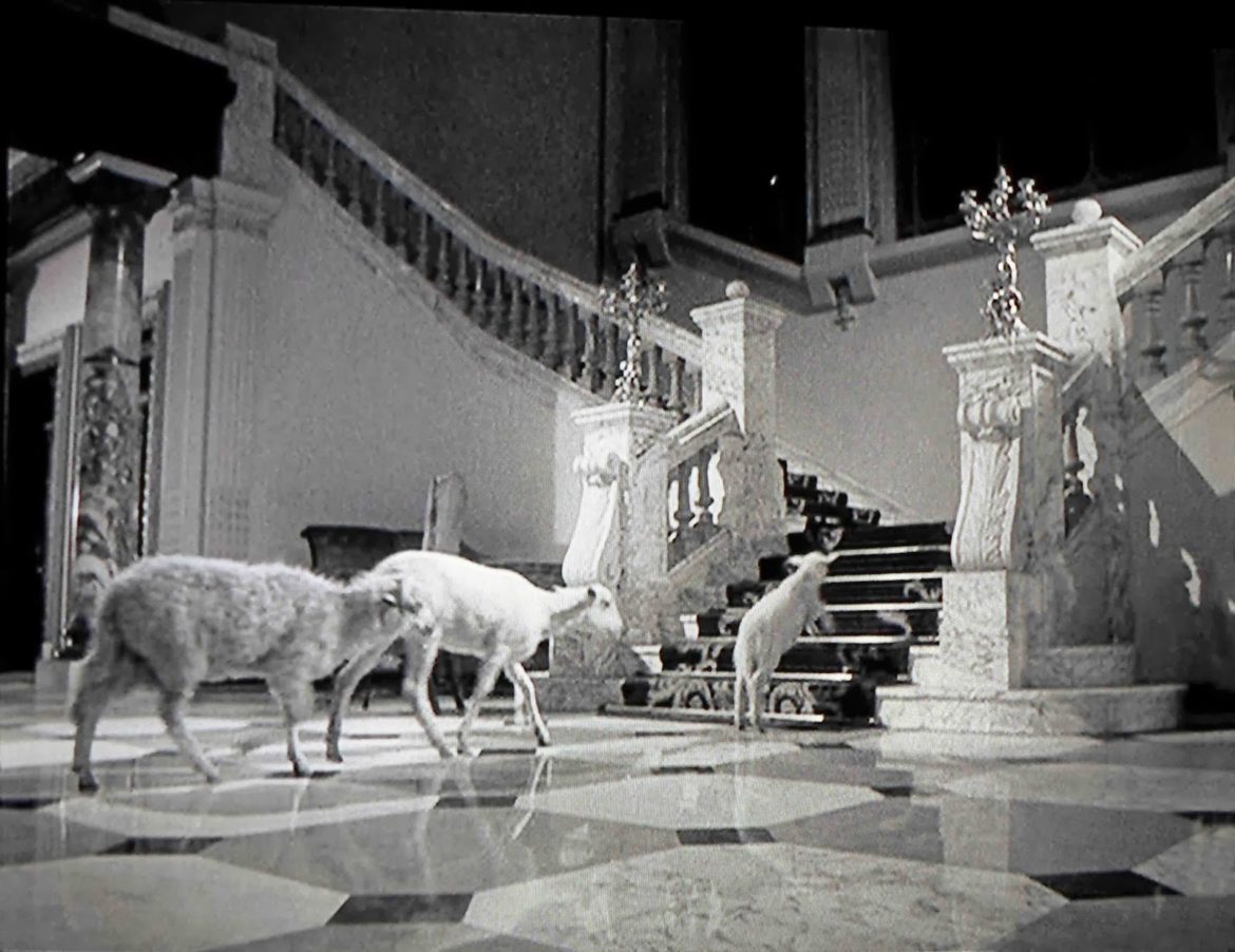 The Exterminating Angel (Luis Bunuel, 1962)