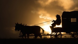 homesman