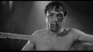 raging-bull1