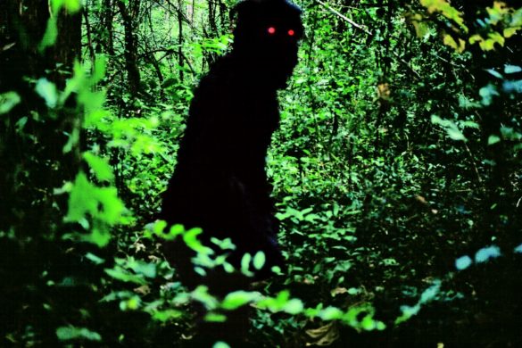 uncle boonmee hi res