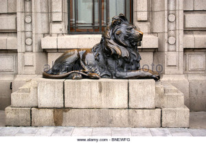 lion2