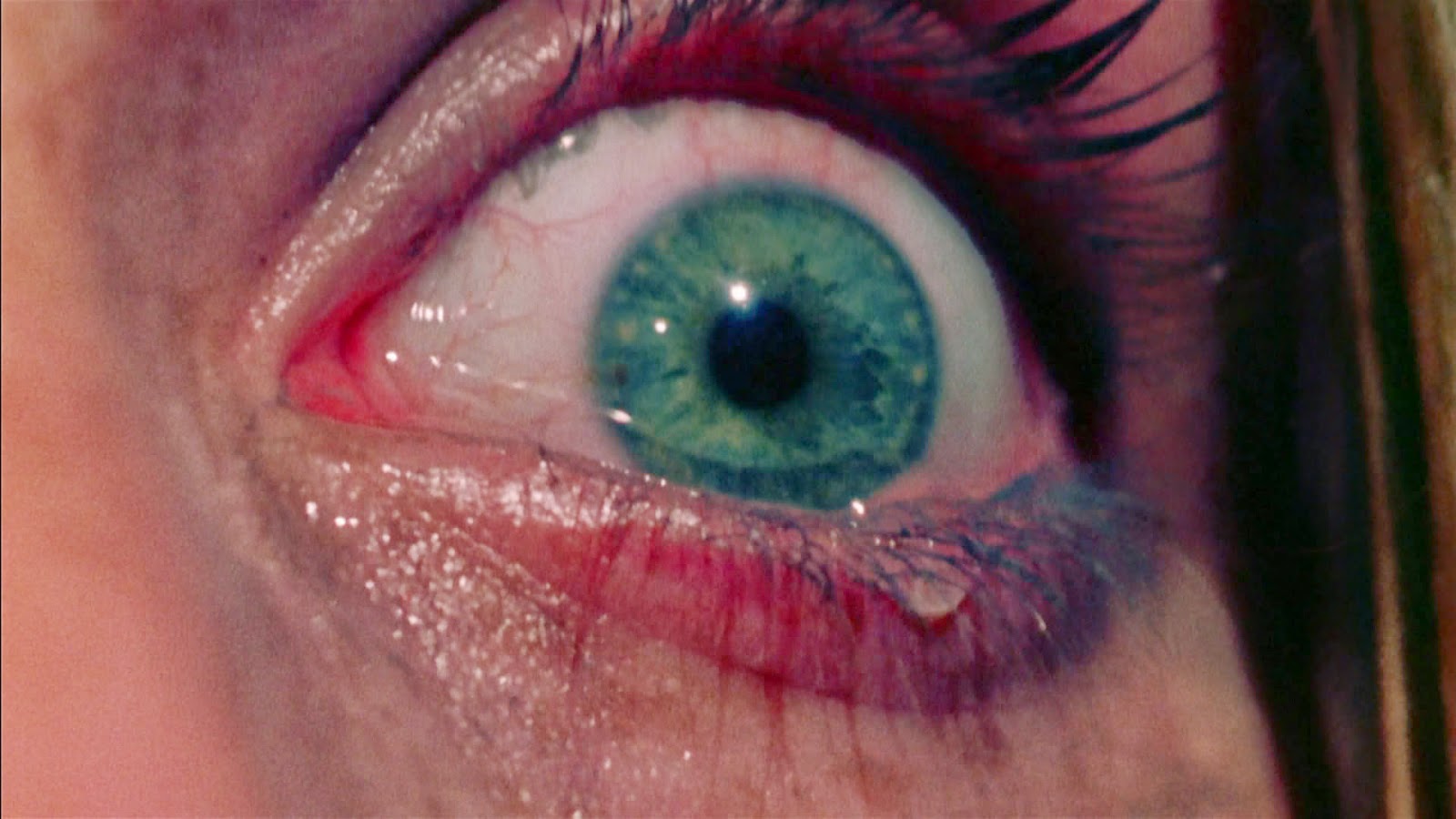 Texas Chain Saw Eye