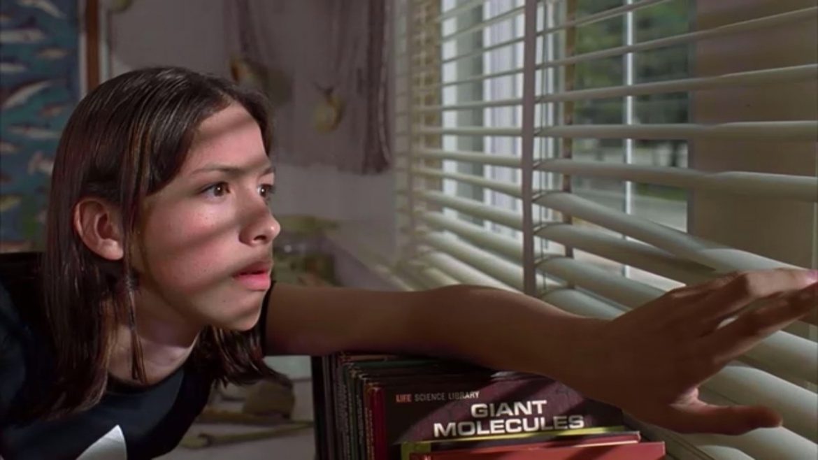 New on Netflix: Dazed and Confused