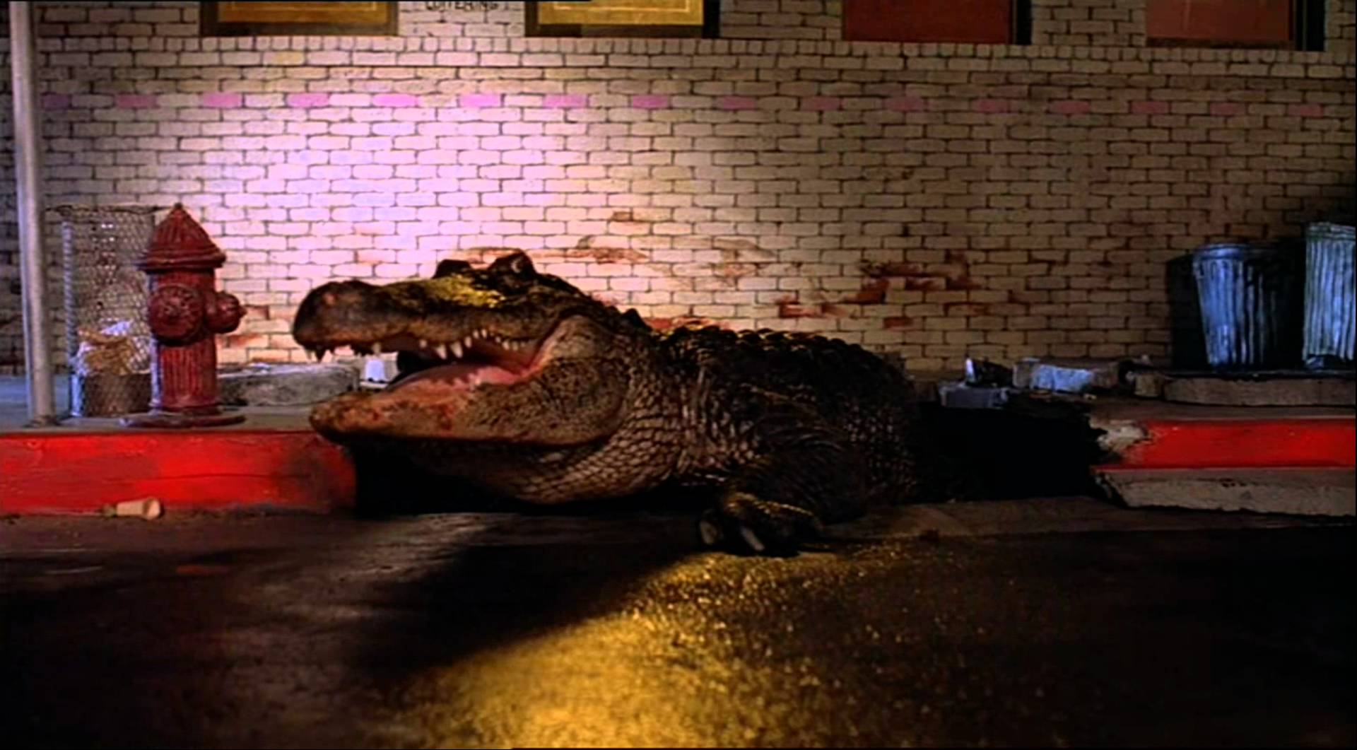 alligator