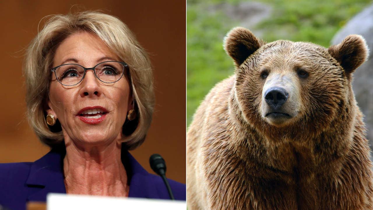 5 Films About School for Betsy DeVos: A Cinematic Primer