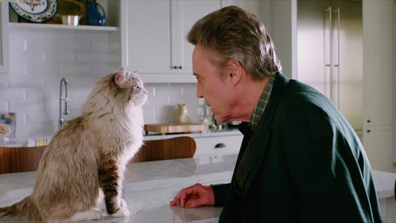Streaming Selections: Nine Lives