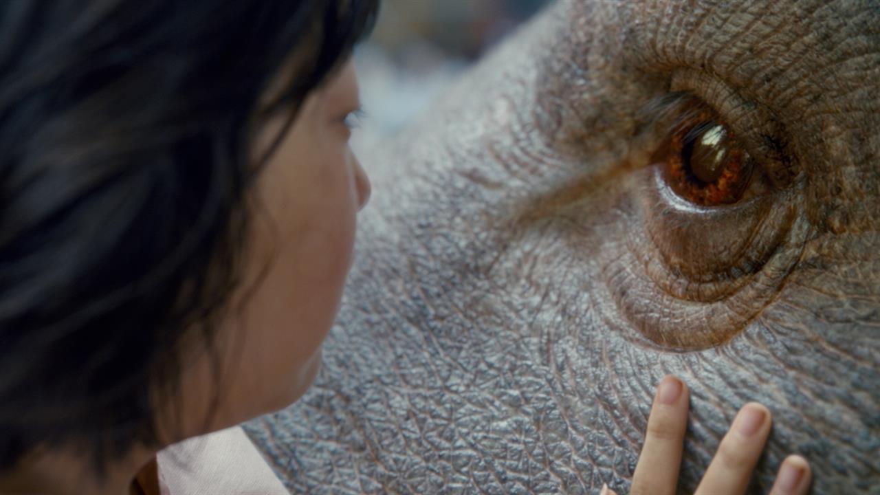 Streaming Selections: Okja