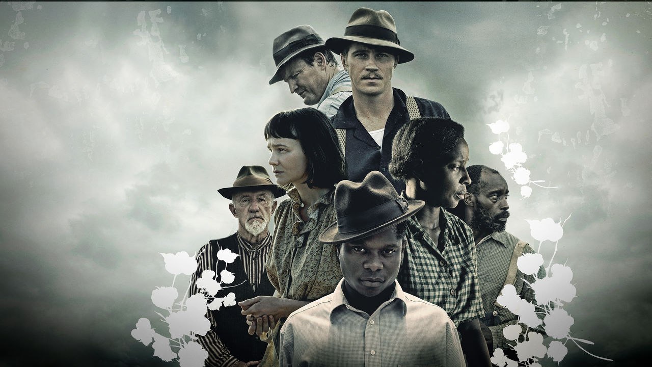 MVFF Reportback: Radiance, After The War, Strange Birds, Mudbound