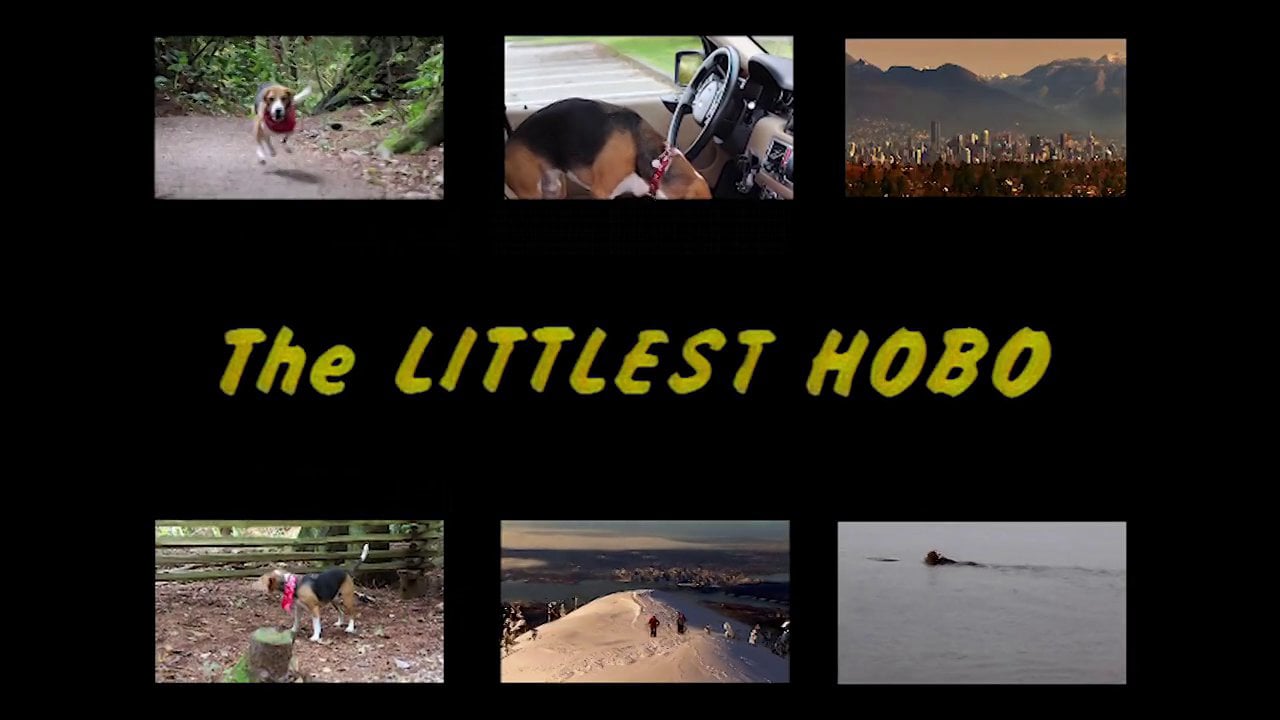 Welcome Liz Lundberg!