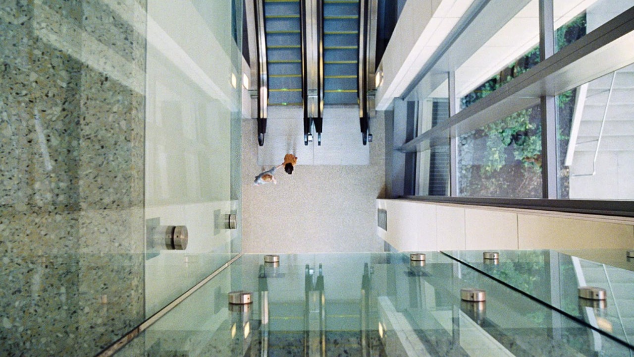 The Hollow Shocks of The Killing of a Sacred Deer