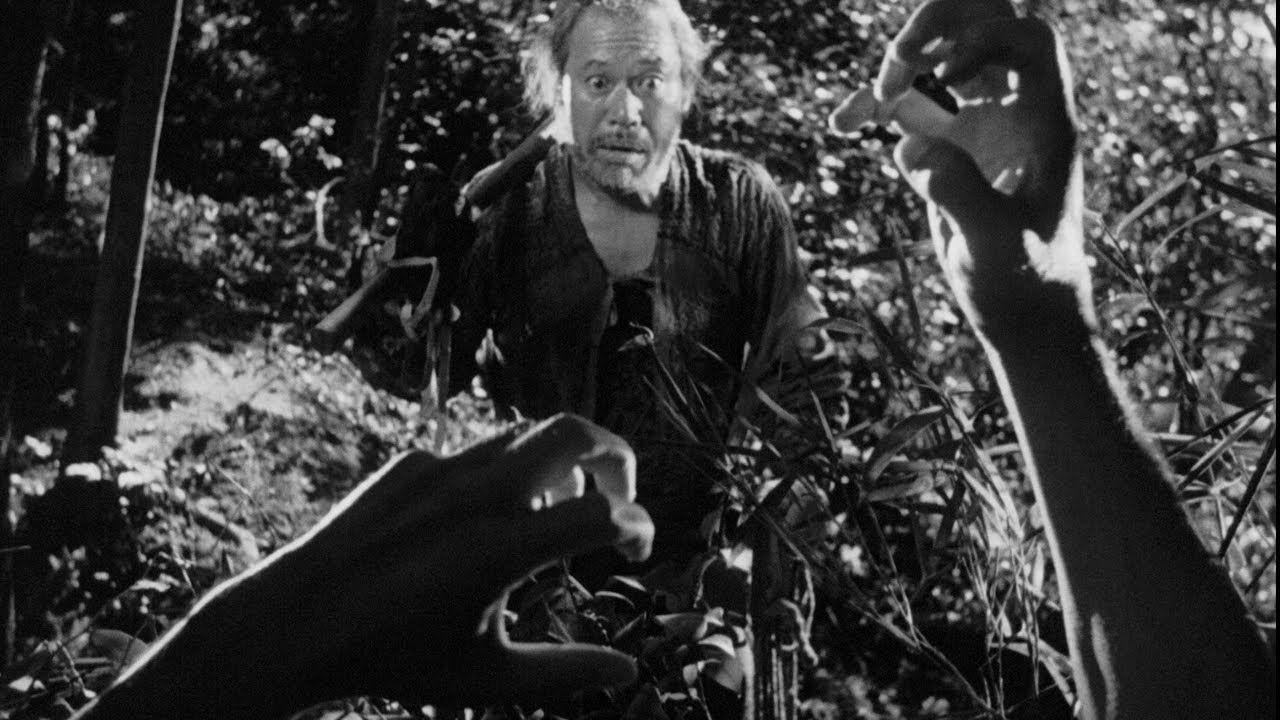 Fear and Knowing in Kurosawa’s Rashomon