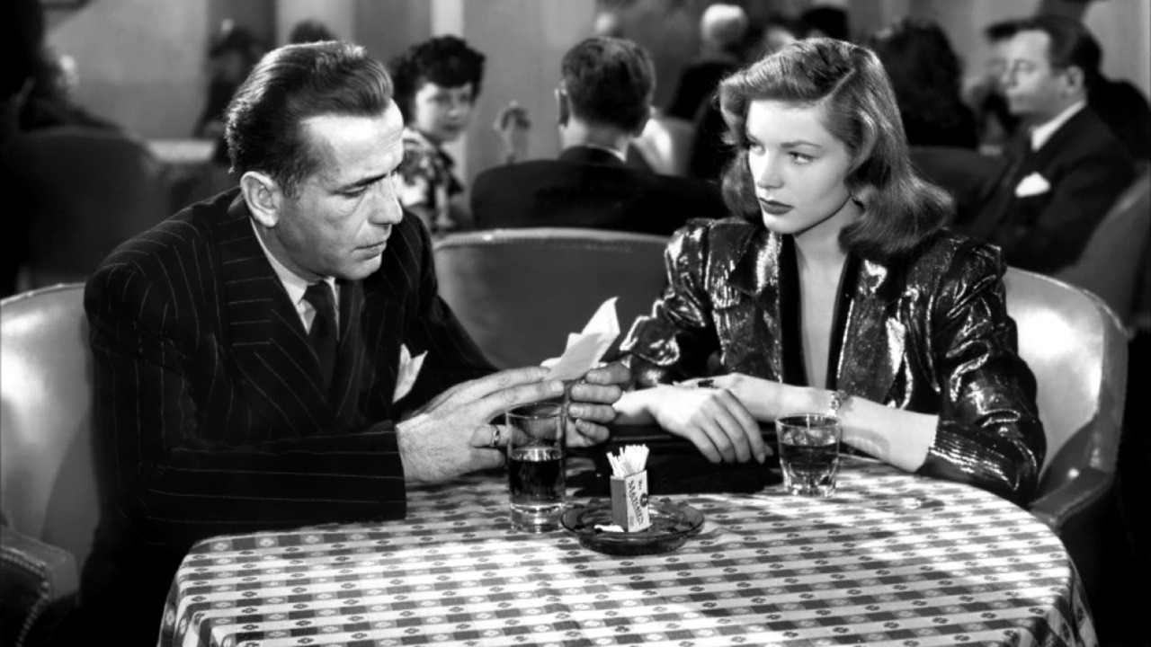 A User’s Guide to The Big Sleep